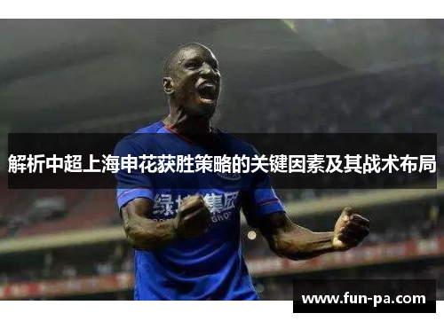 解析中超上海申花获胜策略的关键因素及其战术布局