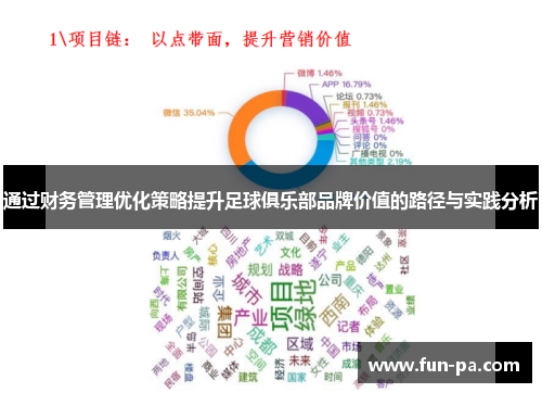 通过财务管理优化策略提升足球俱乐部品牌价值的路径与实践分析